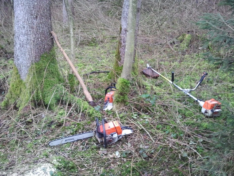 2013-01-03 13.48.37.jpg