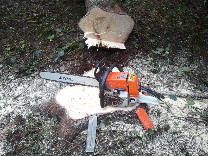 2013-01-03 14.38.23.jpg