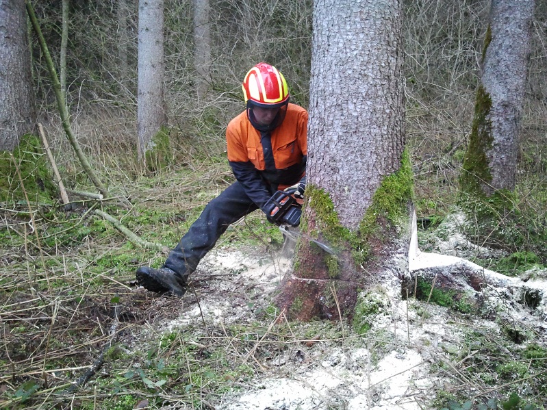 2013-01-03 15.24.14.jpg