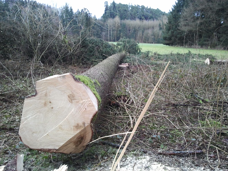 2013-01-03 15.34.16.jpg