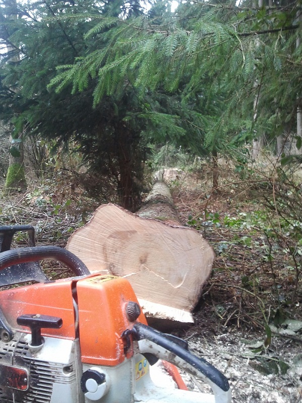 2013-01-03 14.38.19.jpg