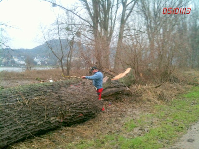 original(8) Kopie.jpg