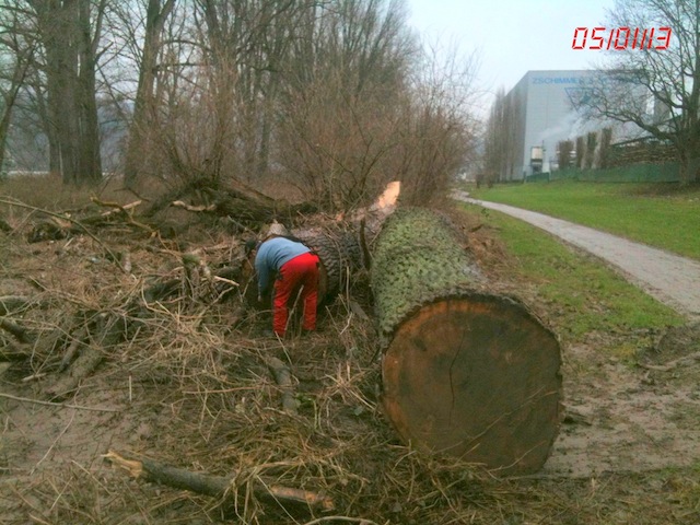 original(9) Kopie.jpg