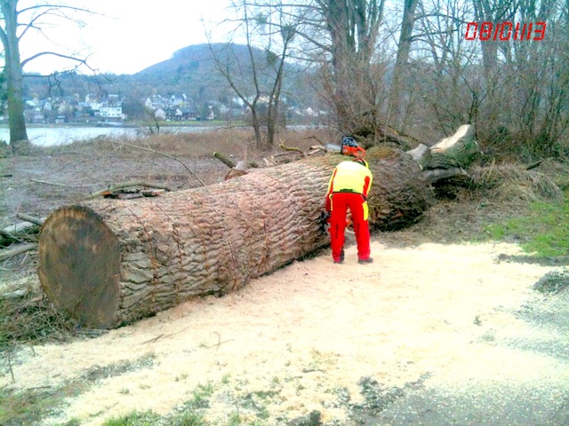 original(22) Kopie.jpg