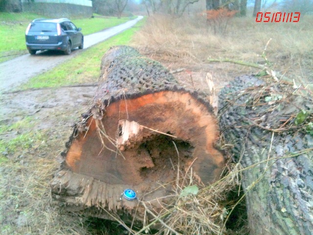 original(7) Kopie.jpg