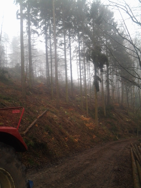 2013-01-10 11.07.17.jpg