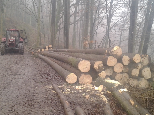 2013-01-10 10.42.35.jpg