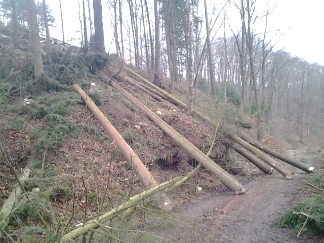 2013-01-09 12.04.41.jpg