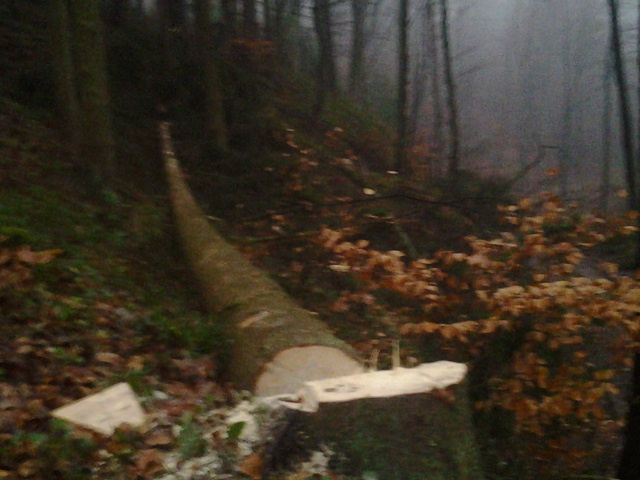 2013-01-03 16.50.01.jpg