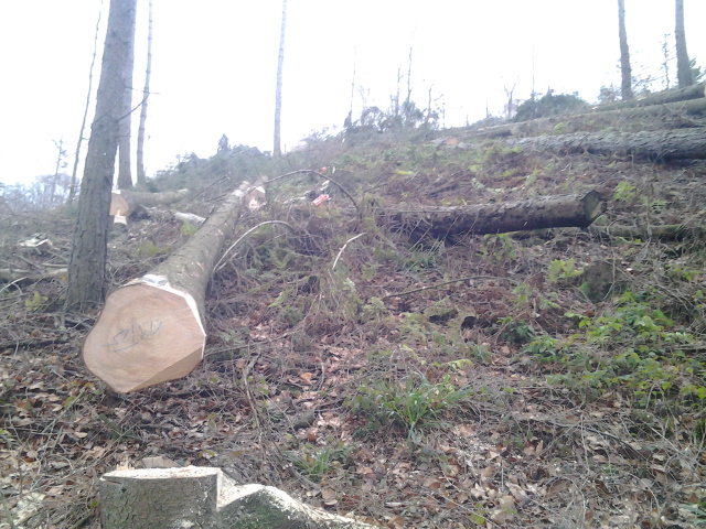 2013-01-02 15.37.20.jpg