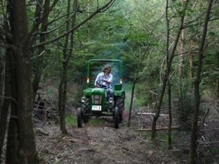 Holder B12 im Wald.jpg