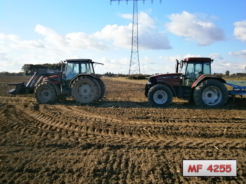 Käse festgefahren.jpg