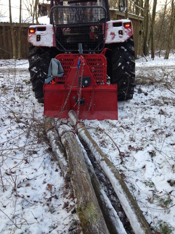 Tag im Wald 2 001.jpg