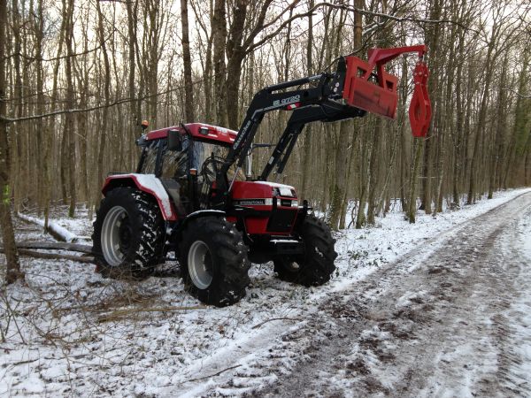 Tag im Wald 2 002.jpg