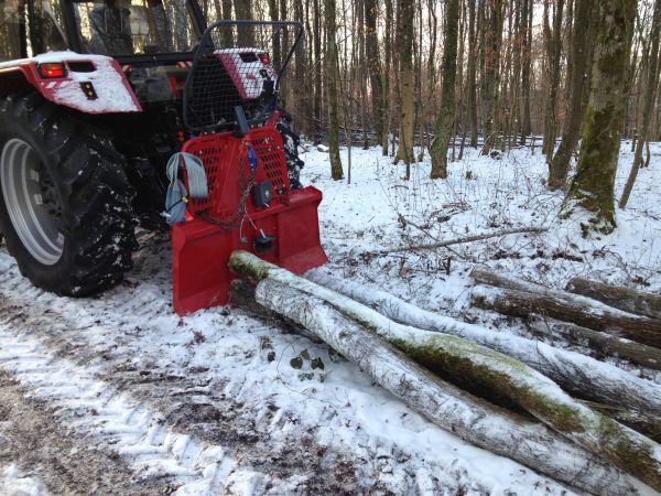 Tag im Wald 2 003.jpg