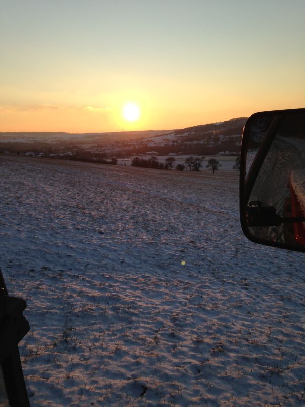 Tag im Wald 2 006.jpg