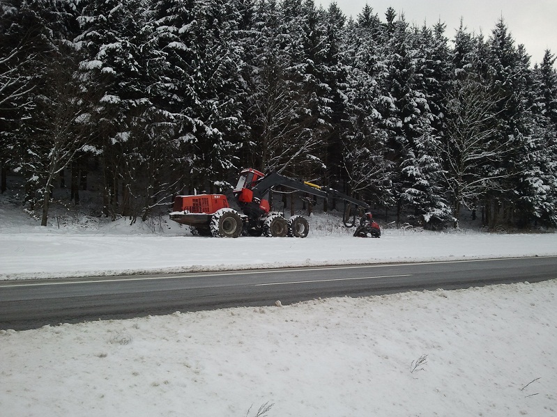 2013-01-19 11.26.09.jpg