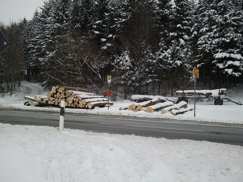 2013-01-19 11.26.12.jpg