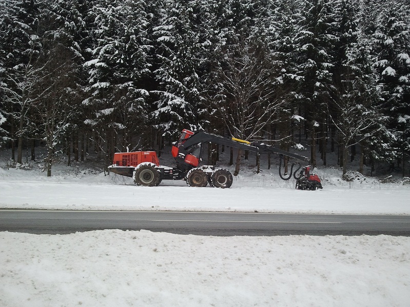 2013-01-19 11.26.56.jpg