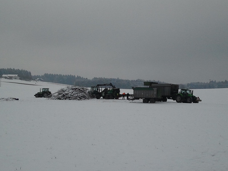 2013-01-19 11.31.05.jpg