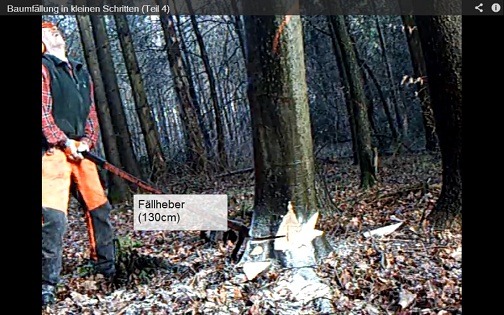 Fällheber ziehen.jpg