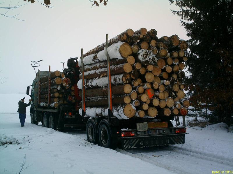 Blochholz_Fuhre_2013_01_22_beim_Verzurren_IMAG0012_2.jpg