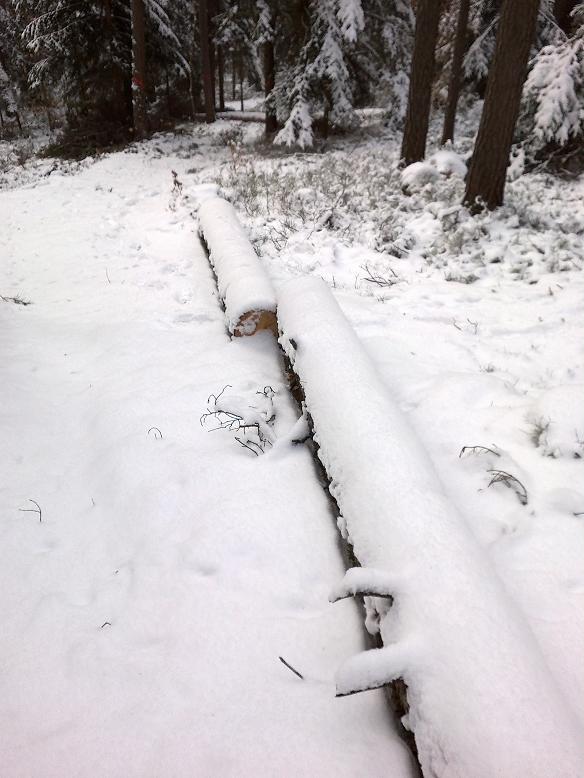 SchneebruchDezember12 001.jpg