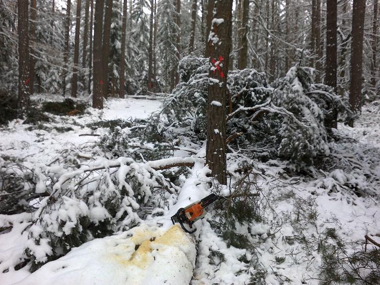 SchneebruchDezember12 002.jpg