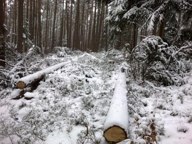 SchneebruchDezember12 003.jpg