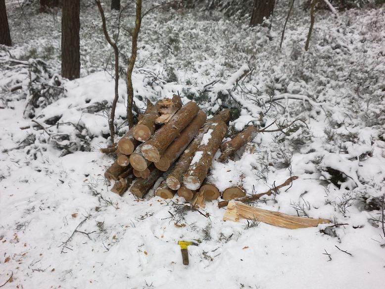 SchneebruchDezember12 004.jpg