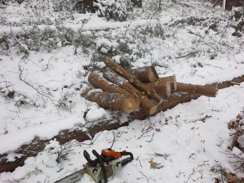 SchneebruchDezember12 005.jpg