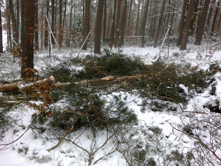 SchneebruchDezember12 007.jpg