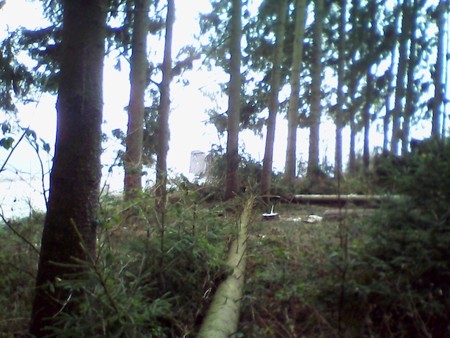 IMG_20121201_092131 Kopie.jpeg