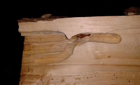 2013-01-29 17.24.18-1.jpg