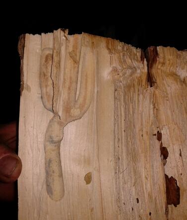 2013-01-29 17.24.11-1.jpg