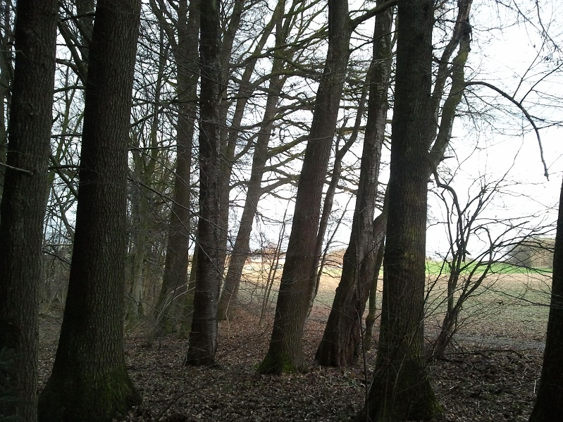 2013-01-30 16.20.02.jpg