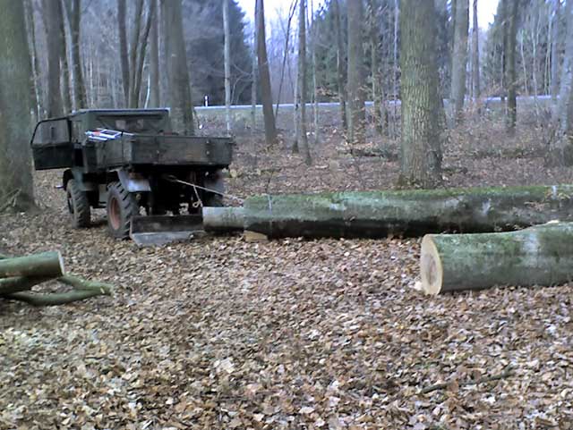 RückenBuche-kl.jpg