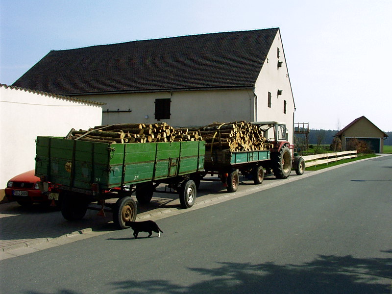 Holz2006001.JPG