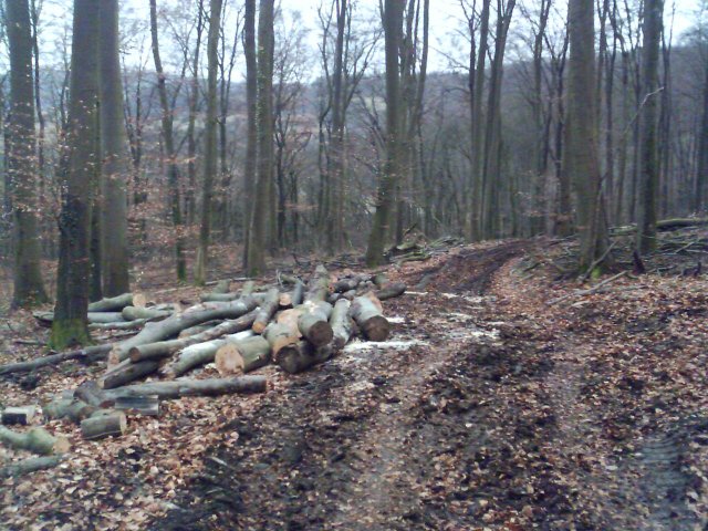 IMAGE_00061.jpg