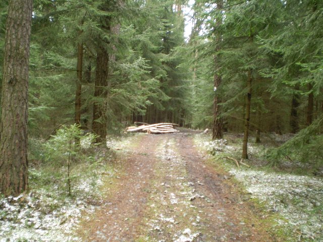 P3180106_640x480.JPG