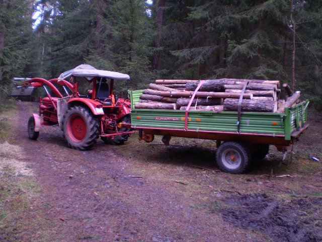 P3180116_640x480.JPG