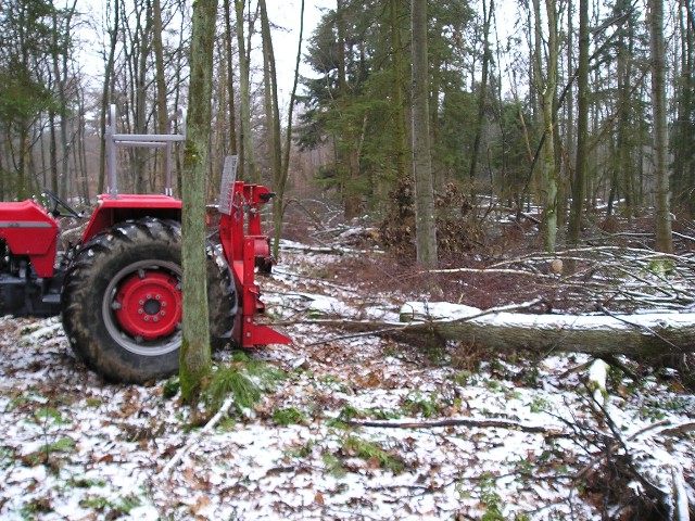 071227-Holzmachen1 Große Webansicht.jpg
