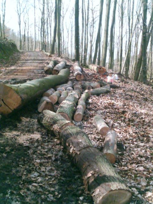 IMAGE_00084.jpg