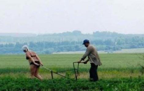 ultimative Taktoristin.jpg