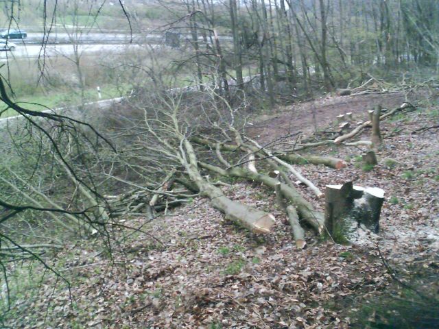 IMAGE_00097.jpg