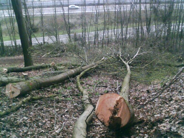 IMAGE_00094.jpg