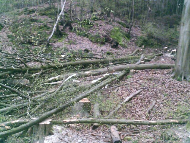 IMAGE_00091.jpg