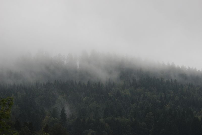 Bildla Nummä 001.jpg