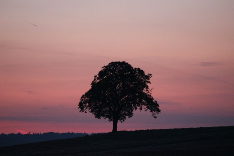 Bildla Nummä 008.jpg