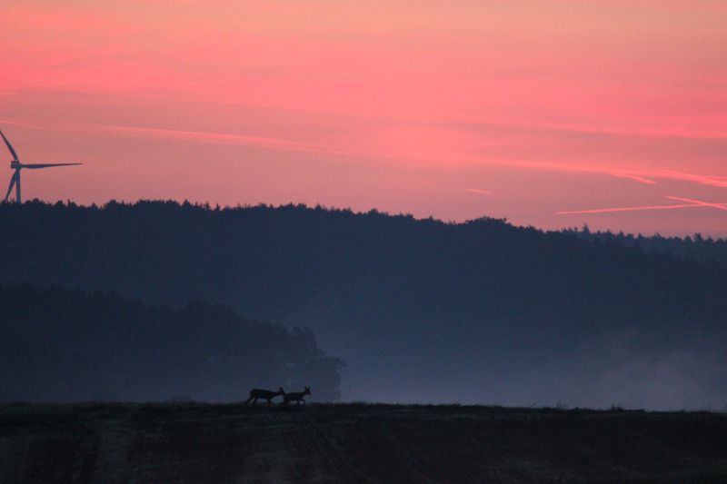 Bildla Nummä 012.jpg